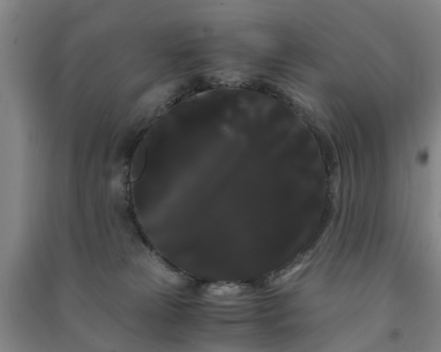 X0000091240181200708161743