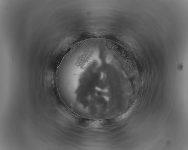 X0000091240182200708161743