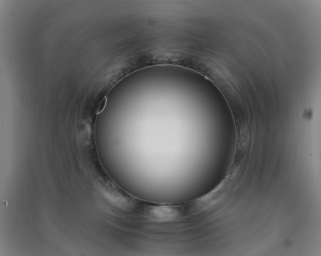 X0000091240183200708161743