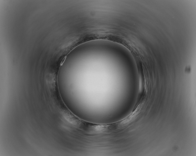 X0000091240184200708161743