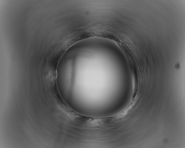 X0000091240186200708161743