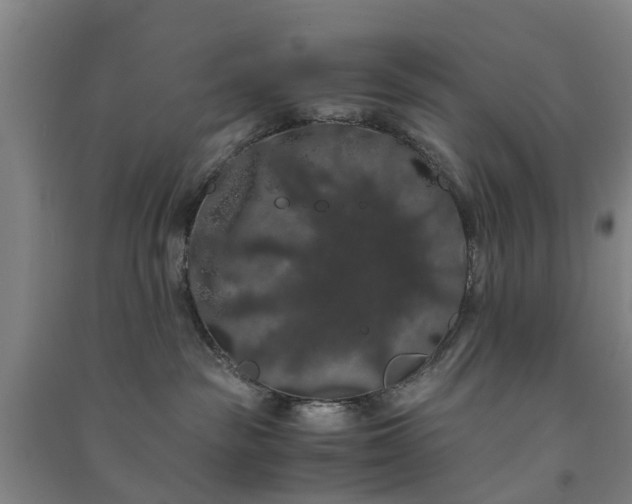 X0000091240189200708161743