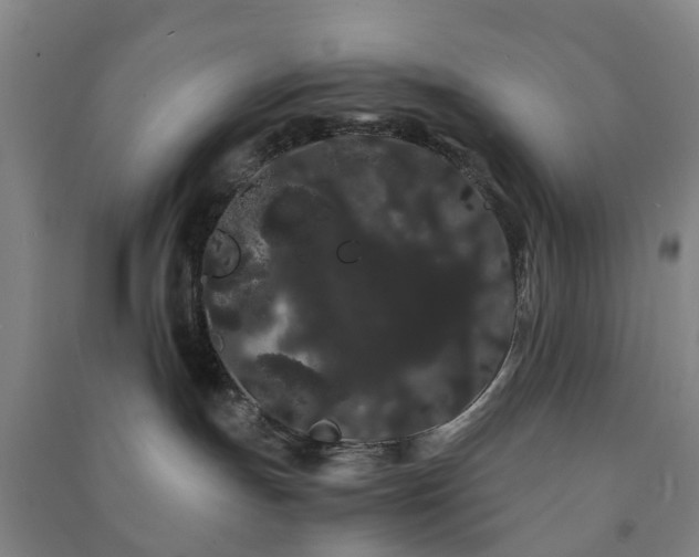 X0000091240191200708161743