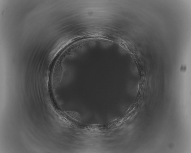 X0000091240194200708161743