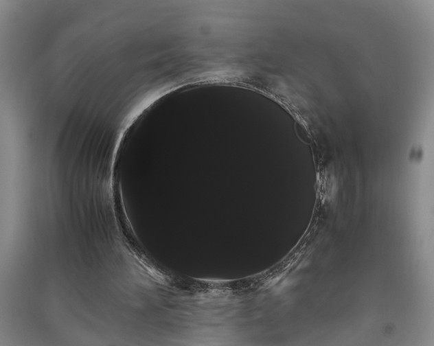 X0000091240196200708161743