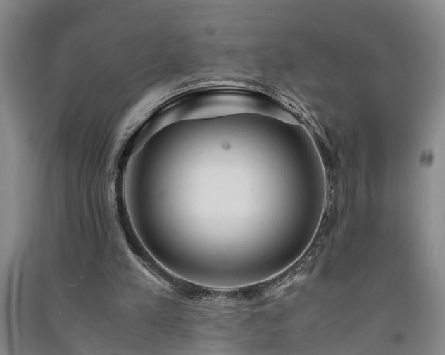 X0000091240197200708161743
