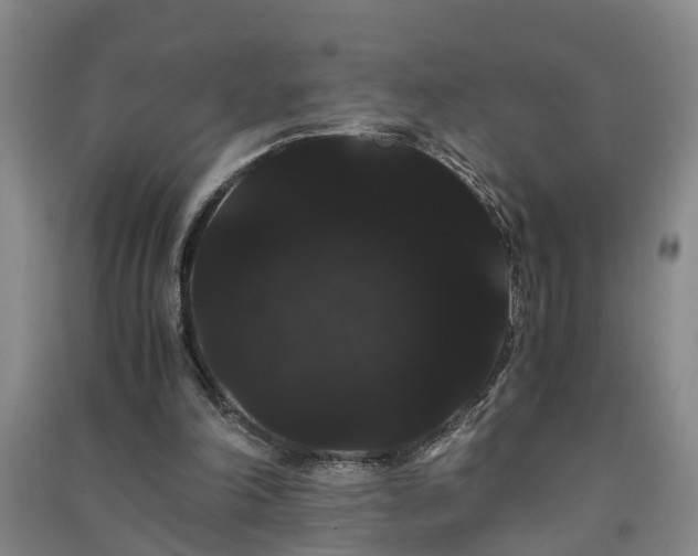 X0000091240198200708161743