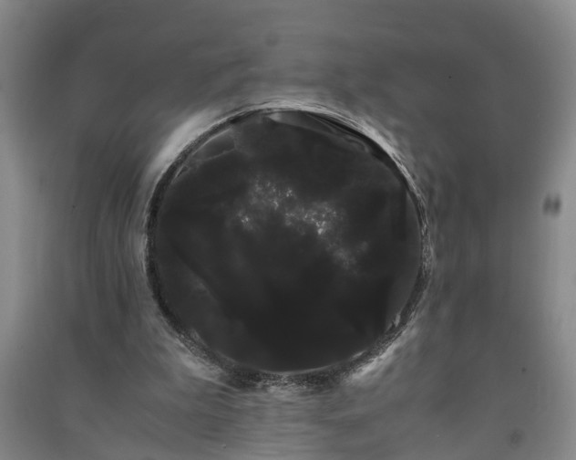 X0000091240199200708161743