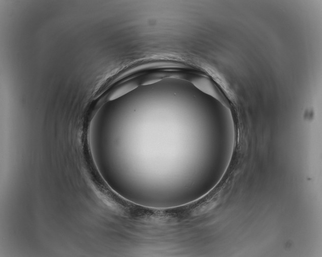 X0000091240201200708161743