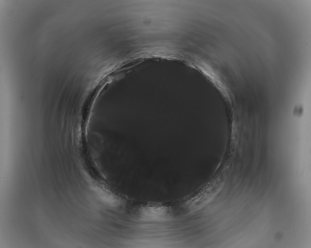 X0000091240202200708161743