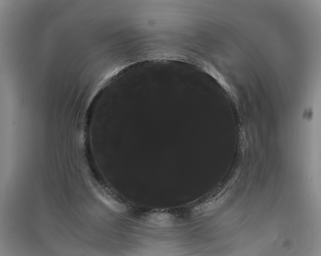 X0000091240203200708161743
