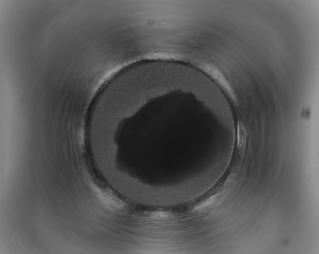 X0000091240204200708161743