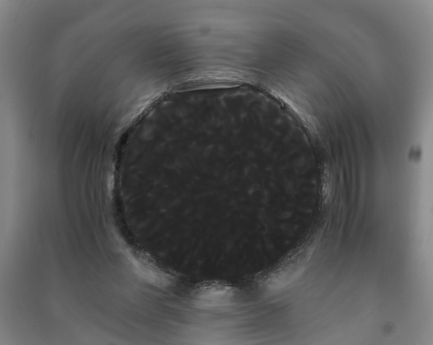 X0000091240206200708161743