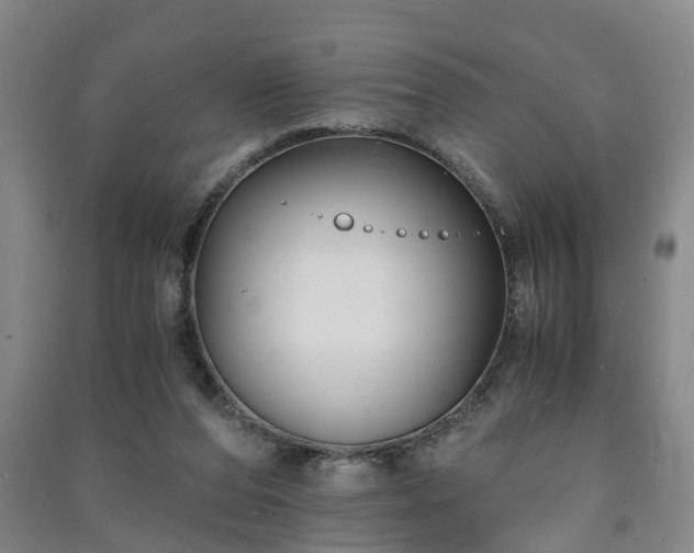 X0000091240208200708161743