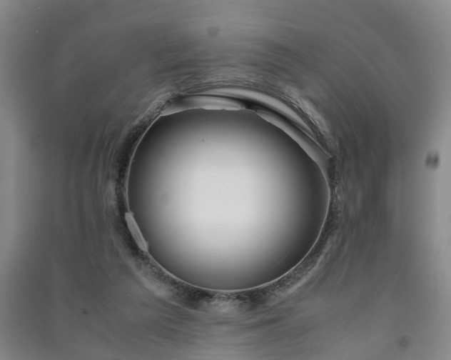 X0000091240209200708161743