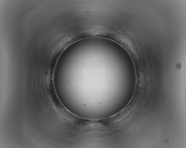 X0000091240210200708161743