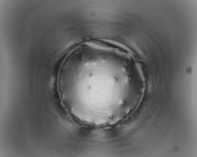 X0000091240211200708161742