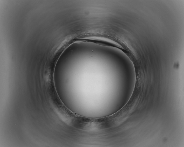 X0000091240212200708161742