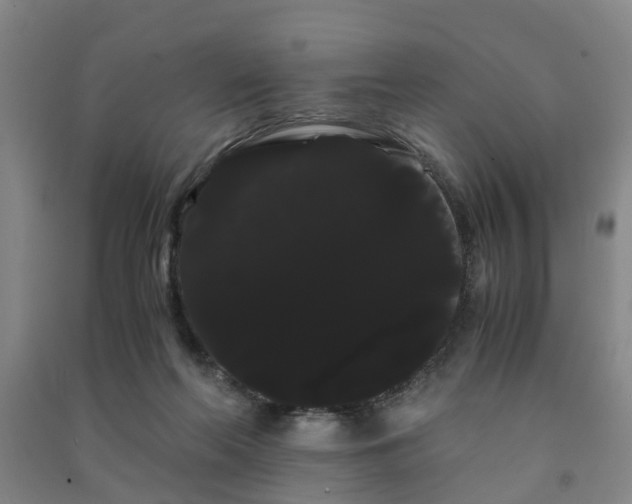 X0000091240214200708161742