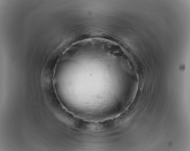 X0000091240215200708161742