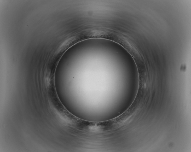 X0000091240216200708161742