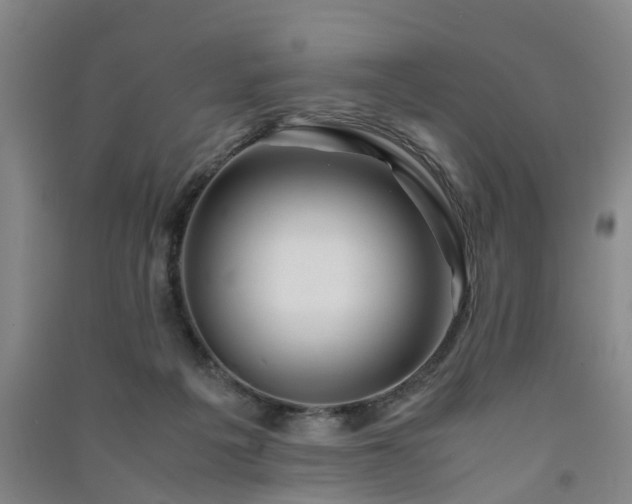 X0000091240217200708161742