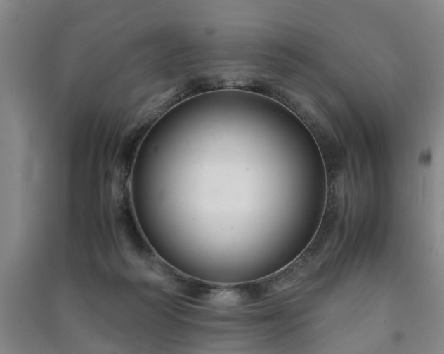 X0000091240218200708161742