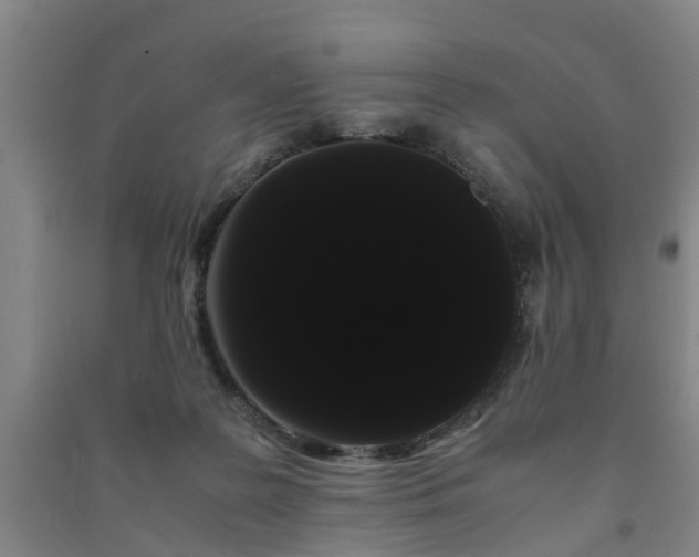 X0000091240219200708161742