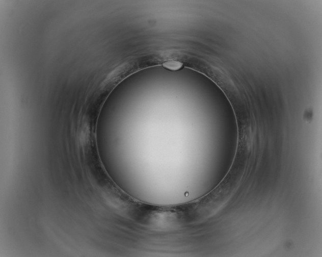 X0000091240220200708161742