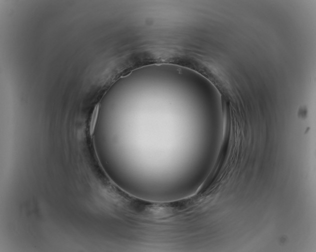 X0000091240221200708161742