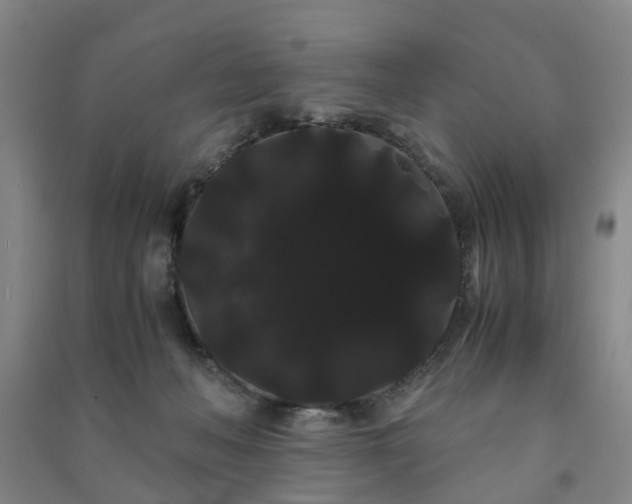 X0000091240222200708161742