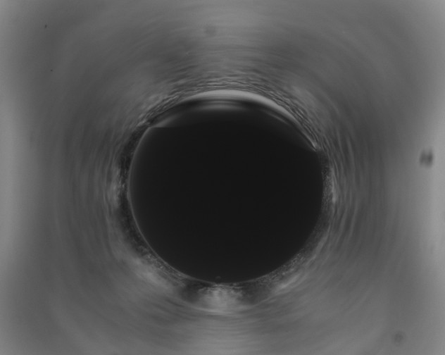 X0000091240223200708161742