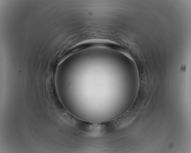 X0000091240225200708161742