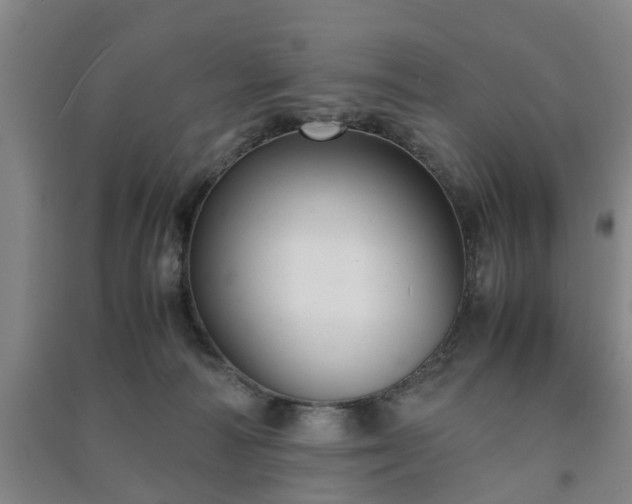 X0000091240226200708161742