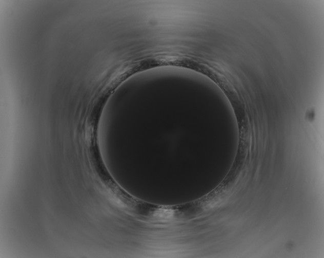 X0000091240227200708161742
