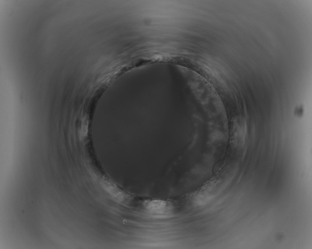 X0000091240230200708161742