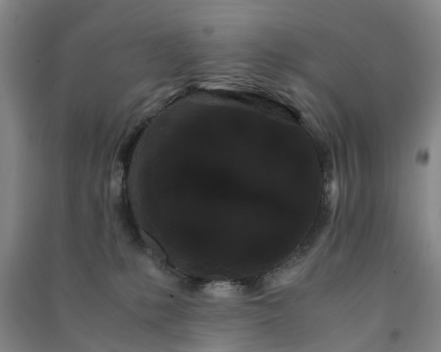 X0000091240231200708161742