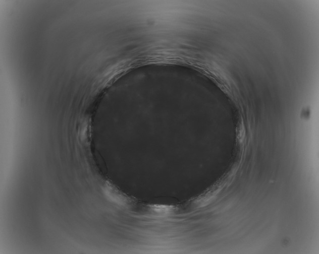 X0000091240233200708161742