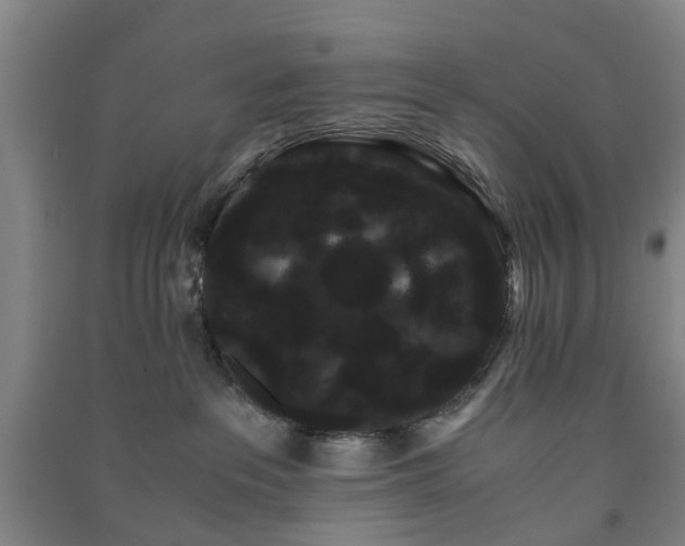 X0000091240237200708161742