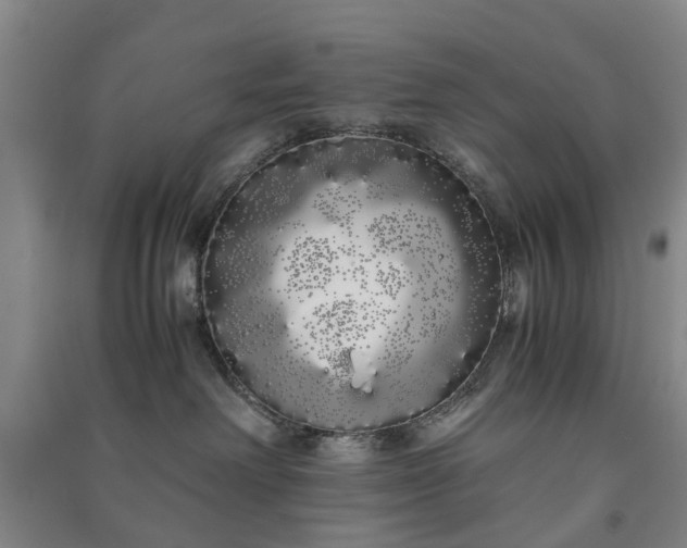 X0000091240238200708161742