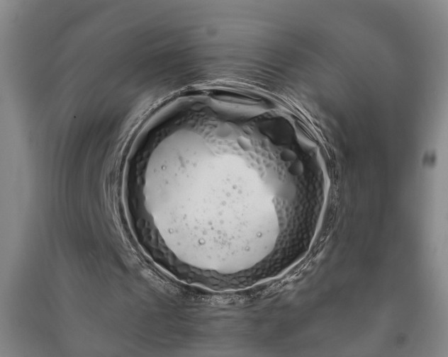 X0000091240241200708161742