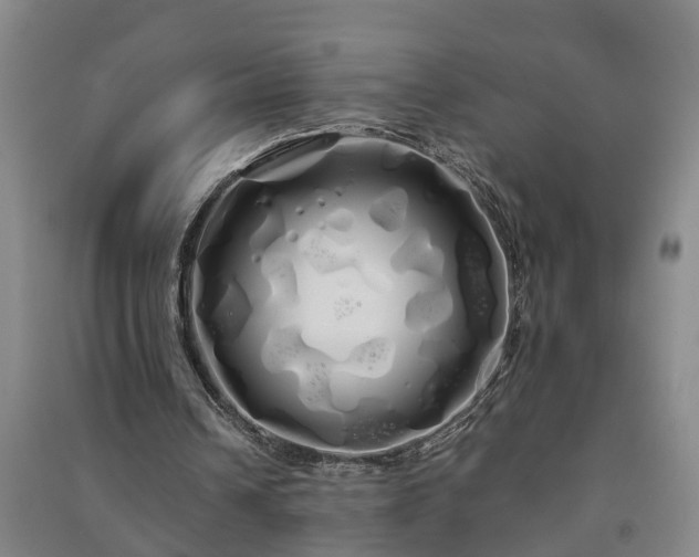 X0000091240242200708161742