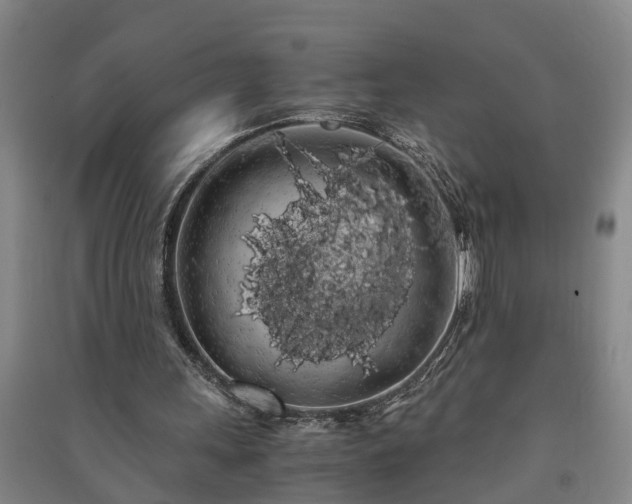 X0000091240243200708161742