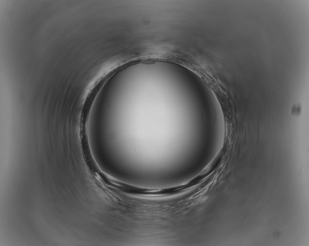 X0000091240244200708161742