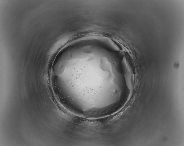X0000091240245200708161742