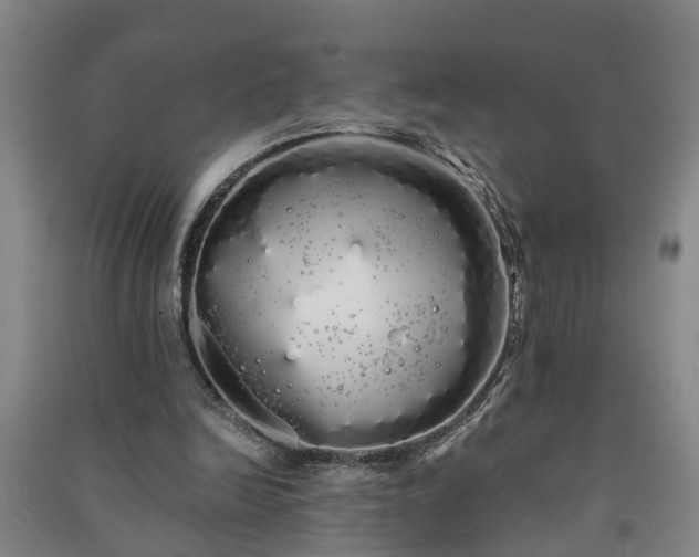 X0000091240246200708161742