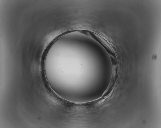 X0000091240248200708161742