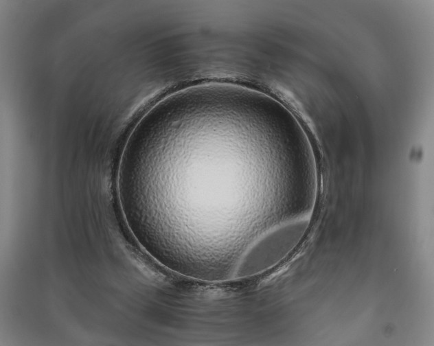 X0000091240249200708161742