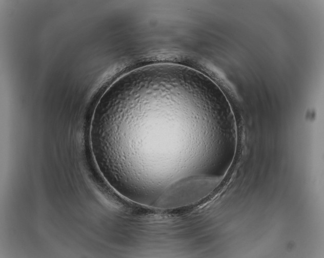 X0000091240250200708161742