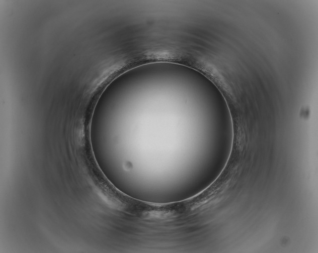 X0000091240251200708161742